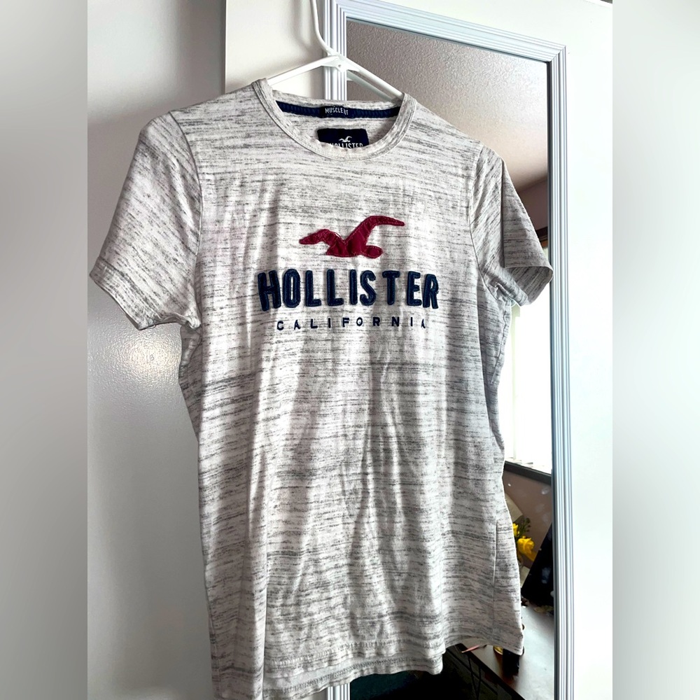 Mens Hollister T-Shirt
